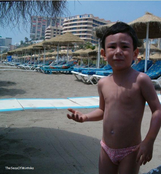 Beach Hotel Melia Spain