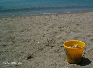 Beach Bucket