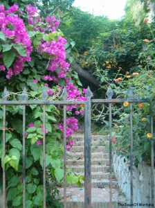 Most Mysterious Garden Cuesta de San Miguel
