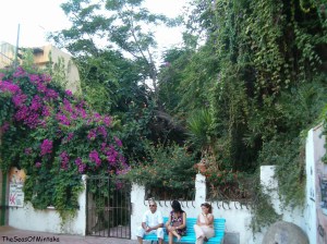 Mystery Garden Torremolinos