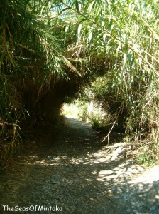 An Archway by the River Chillar