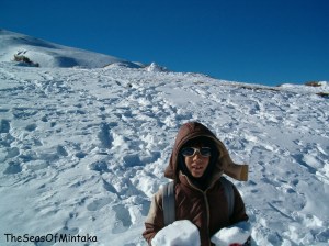 Sierra Nevada Tracks in the Snow