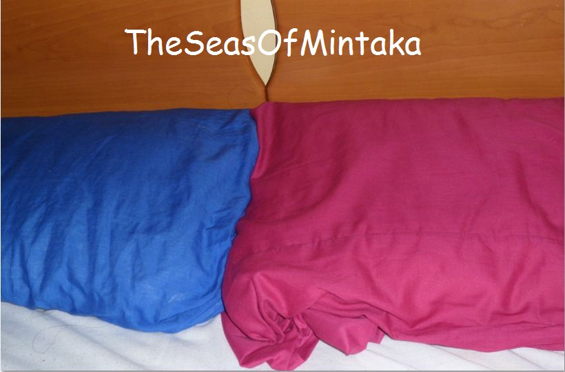 Blue and Fuchsia Pillowcases