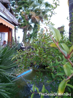 Restaurant Garden Torremolinos