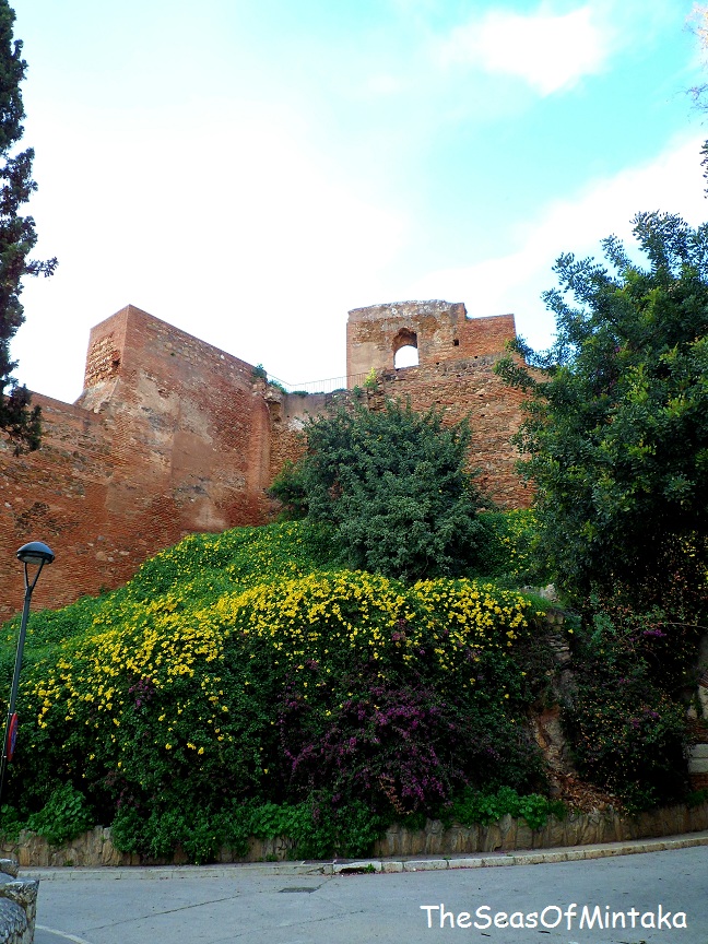 Flowers by the Alcazaba Malaga