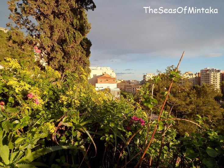 Flowers Gibralfaro Malaga