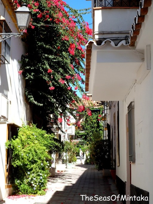 Marbella Street With Flowers Marbella Street With Flowers