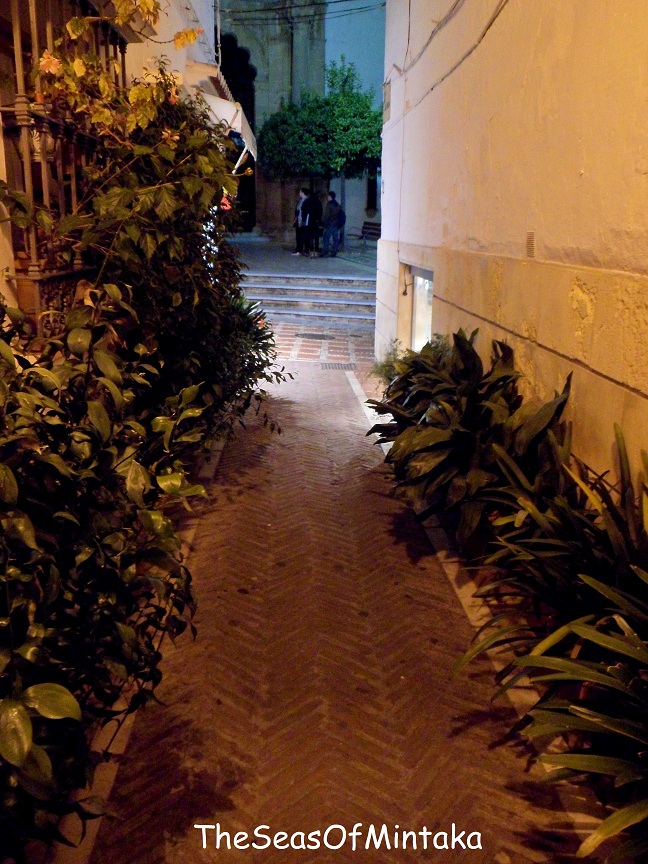 Passageway Marbella