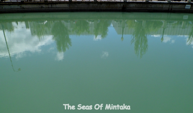 Shadows in the Water Shadows in the Water