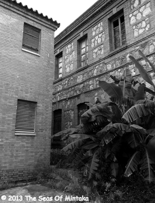 Plants in the Courtyard