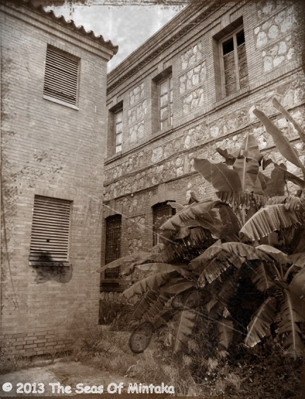 Plants in the Courtyard