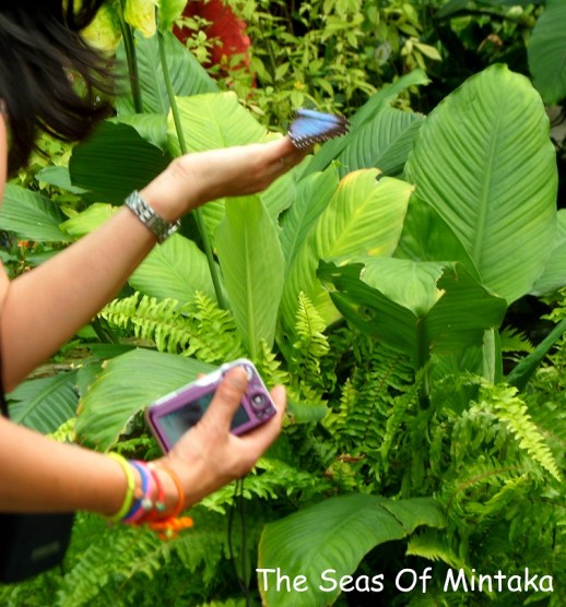 Girl Holding Butterfly
