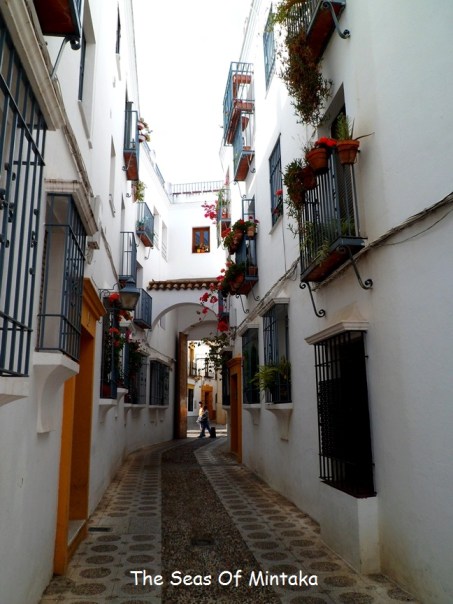 Cordoba Typical Street
