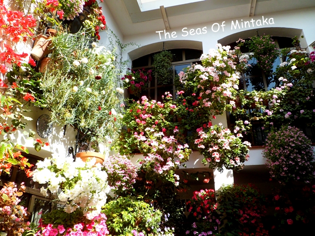 Patios of Cordoba