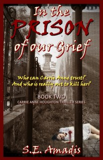 In the Prison of our Grief - S.E. Amadis