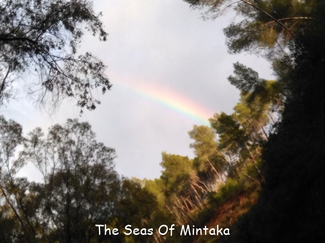 Rainbow After the Storm