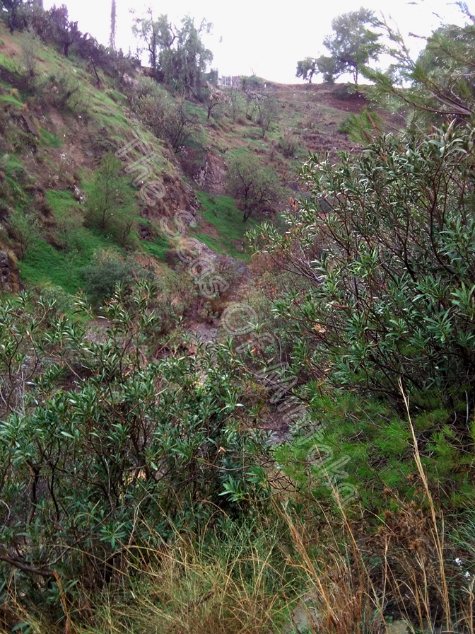 Montes of Malaga Spain