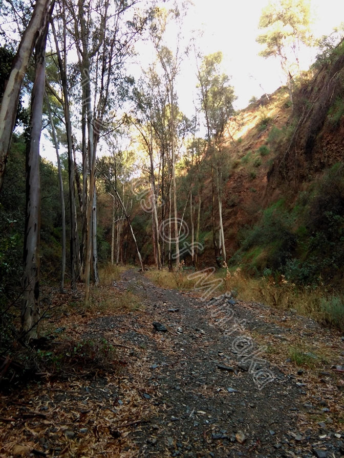 Rainy Day in Malaga Spain