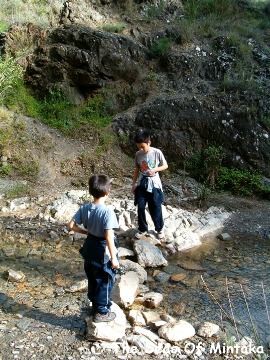 Kids Playing in a Stream Malaga Spain