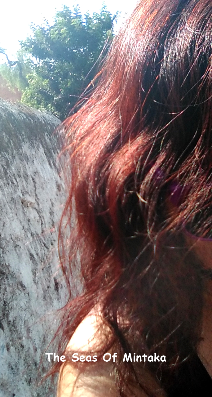 Hair Bentonite Clay Henna