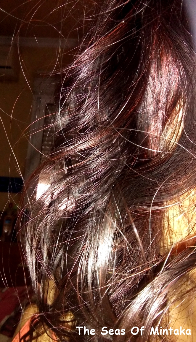 Hair Castile Soap Coconut Milk