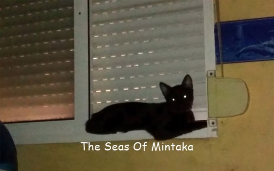 Catio Cat Sun Balcony