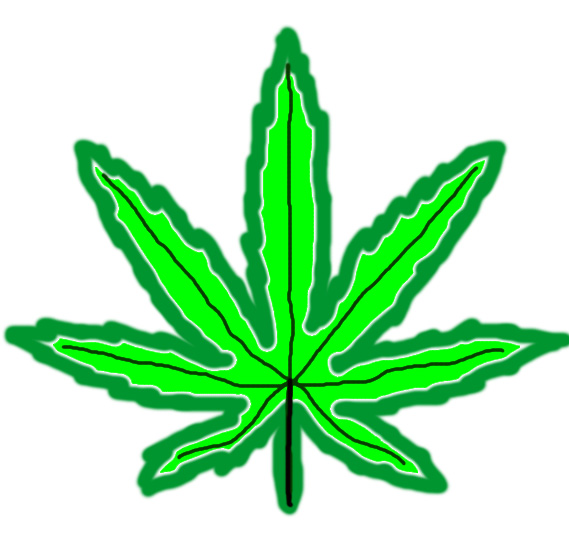 Marijuana leaf